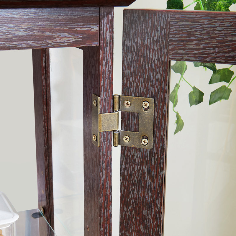 Elegant Dual Door Curio Cabinet with Glass Doors and Lighting